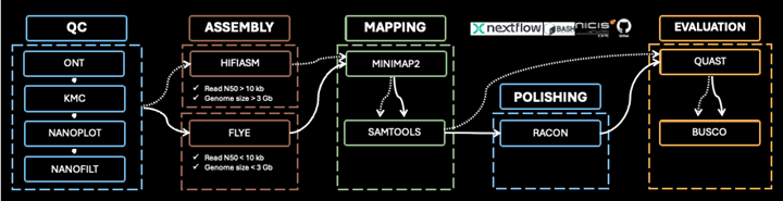 Figure 1: 1KSA Genome Assembly Workflow