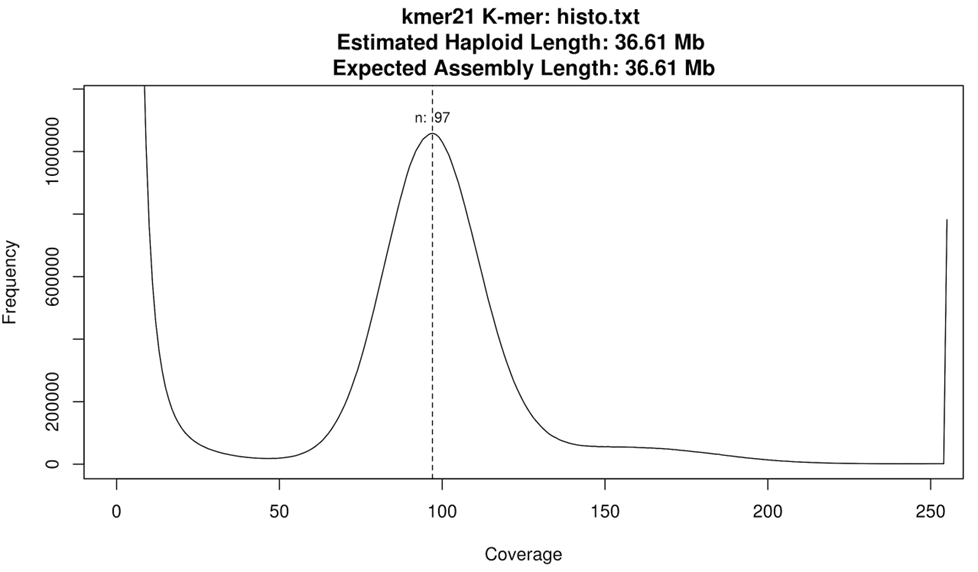 Figure 3: K-mer frequency histogram